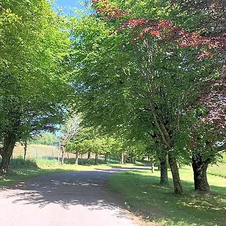 Hotell Fernhill Carrigaline Cork